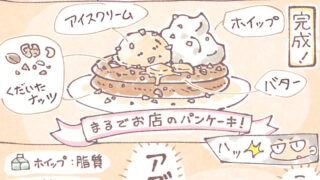 diary-20210810-pancake